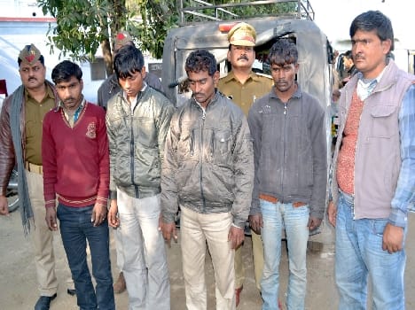 28 animals seized , five people arrested