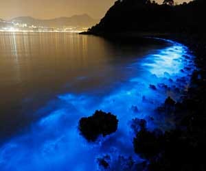 sea that glows at night