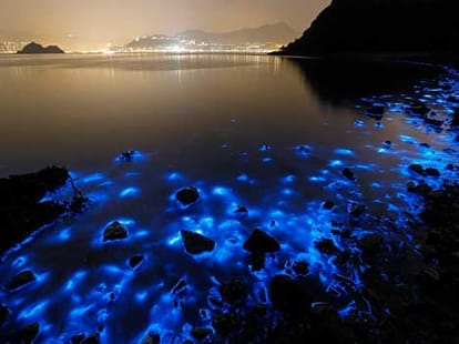 sea that glows at night