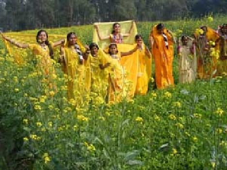 Vinawadini were worshiped on Vasant Panchami