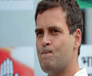 rahul decides raj babbar as rajya sabha candidate.