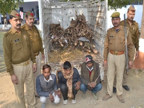 Going Kannauj sandalwood Full pickup caught