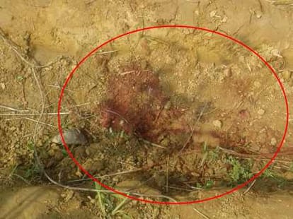 brutal murder of father