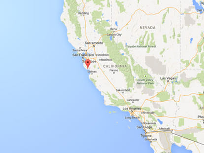Google executive killed by drug overdose by high end escort