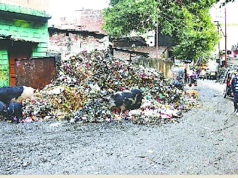 Litter-struck city