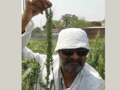 the bottle gourd of seven feet in jayapur