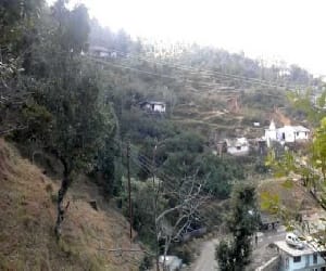 uttarakhand product and make in india.