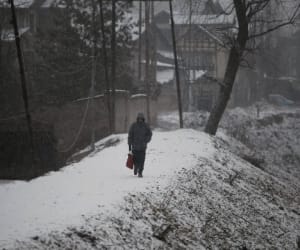 fresh snowfall in gulmarg