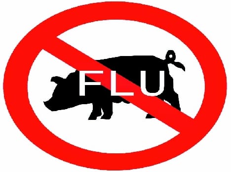 Dealing with swine flu The municipality alert