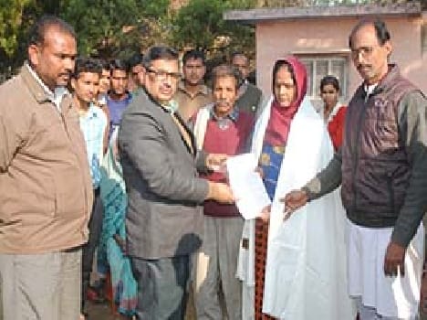 Amar Ujala brunette came to honor the house