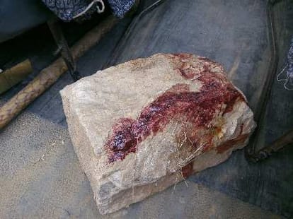 brutal murder of woman crushed by stone