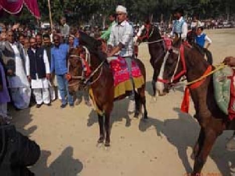 Rnnon was coined from the top of the village of horses spared