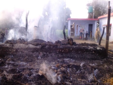 Pshuvadhe fire The death of four animals