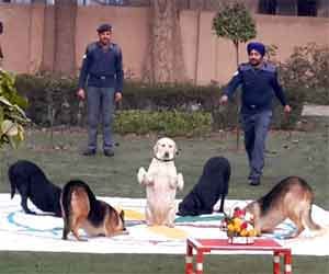 Rahgiri made a fuss of the dog show.