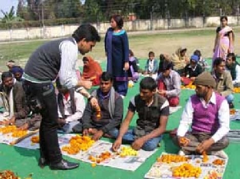 The offering, will flower fragrance