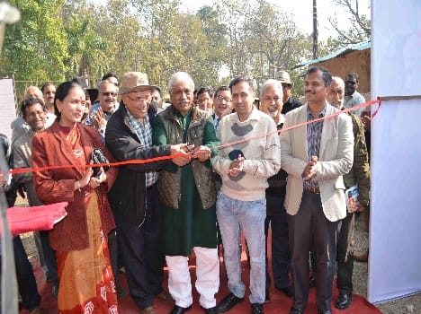 Cunakhan felt birds Fair