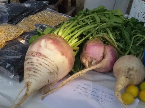 Priced at Rs 2100 to eight kg radish