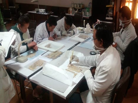 Participants learned the details of the manuscript conservation