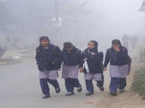 Phagun Magh-bit shadow fog