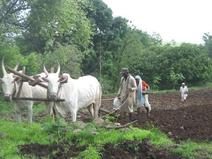 Will the Anna Hazare movement for the landless in Himachal.
