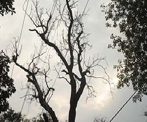weather update of uttarakhand.