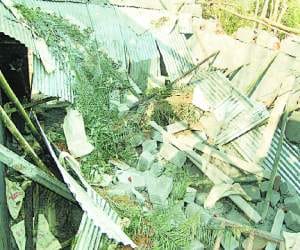 five injured when roof collapses at nadaun hamirpur.
