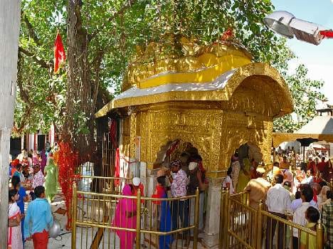 chinpurni temple trust will help old people.