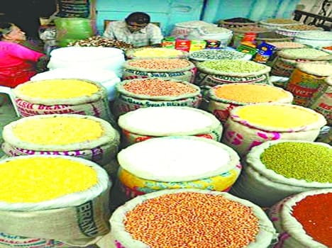 Pebble in coriander , fenugreek Musledi in