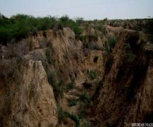 MP Government scheme for chambal valley