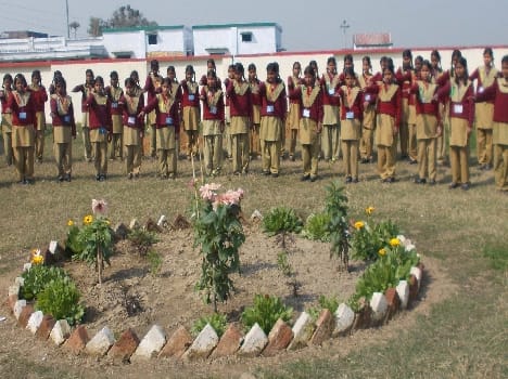 Students took the tree Save Resolution