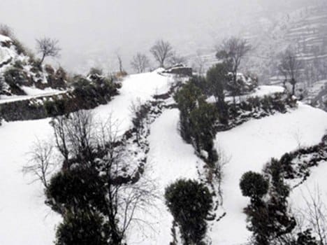 Avalanche Kills Local Guide in Gulmarg, 4 Skiers Rescued