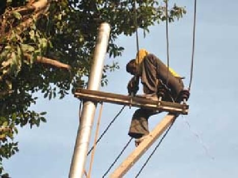 Working lives are put on the palm