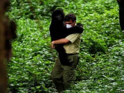 special story on darwin and man origin