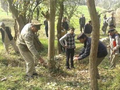 police solve kandaghat murder case.