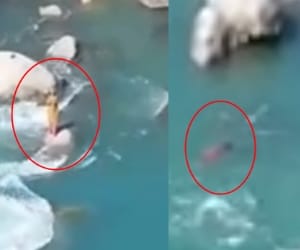 woman washed away in chenab river
