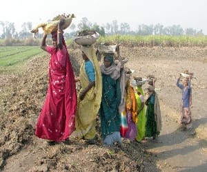 scam in mahatma gandhi national rural employment.