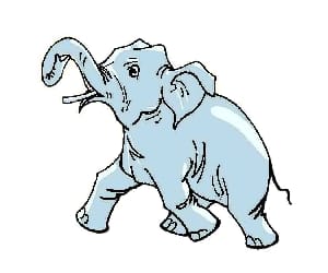 elephant terror in kotdwar.