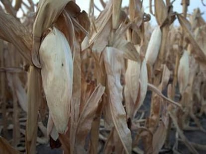 soon america may fall in drought