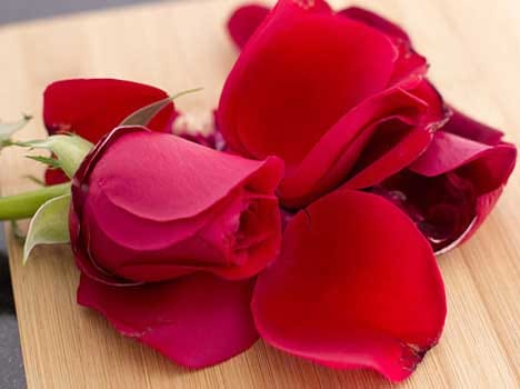 valentine day celebration in dehradun.
