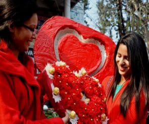 valentine special, red rose demand in panchkula