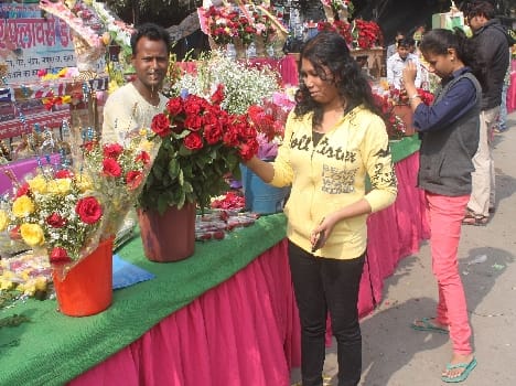 Valentine's Day is bustling in the Sanjay Van