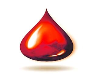 Blood Donation Camp by 160