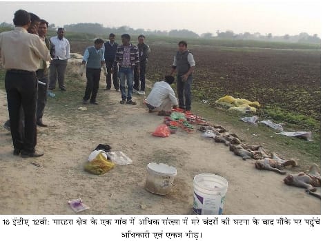 24 monkeys found dead off bags