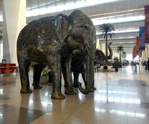  Indira gandhi international airport chosen best in world