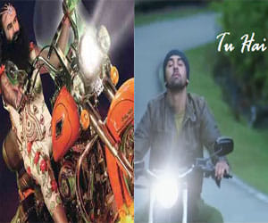 msg beats roy on box office