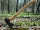 Contraband are cut oak trees