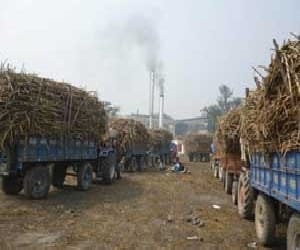anoopshahar sugar mil needs NGT clearance to start. 