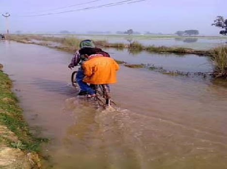 Minor overflow, many bigha wheat steeped