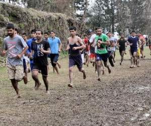 army recruitment in himachal.
