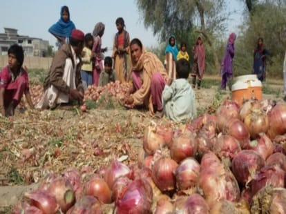 hindu marriage in pakistan